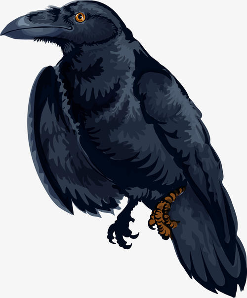 海獭|12个你不知道的动物冷知识，真的是太冷了