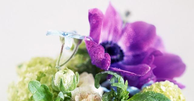 吉星|8月28日，4生肖吉星庇佑，熬过困难期，迎接贵人，生活富裕