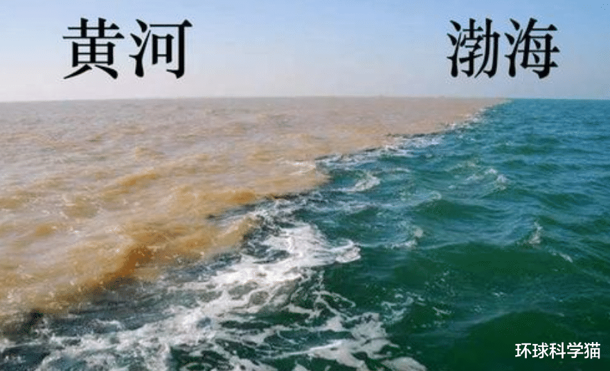 水底奥秘|淡水鱼没法在海水里存活，黄河每天大量鱼进入大海，鱼都去哪了？