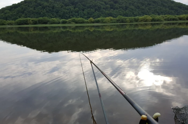 鱼塘|谚语云：“春钓滩，夏钓潭”钓鱼人该如何理解？