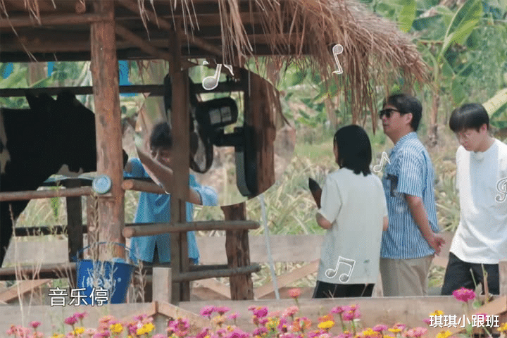 『向往的生活』《向往的生活》即将开播，却惹来网友怒喷，建议改名为“奢侈的生活”！