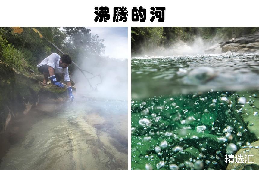 亚马孙热带雨林|隐藏在亚马逊雨林中的8件神奇的事物