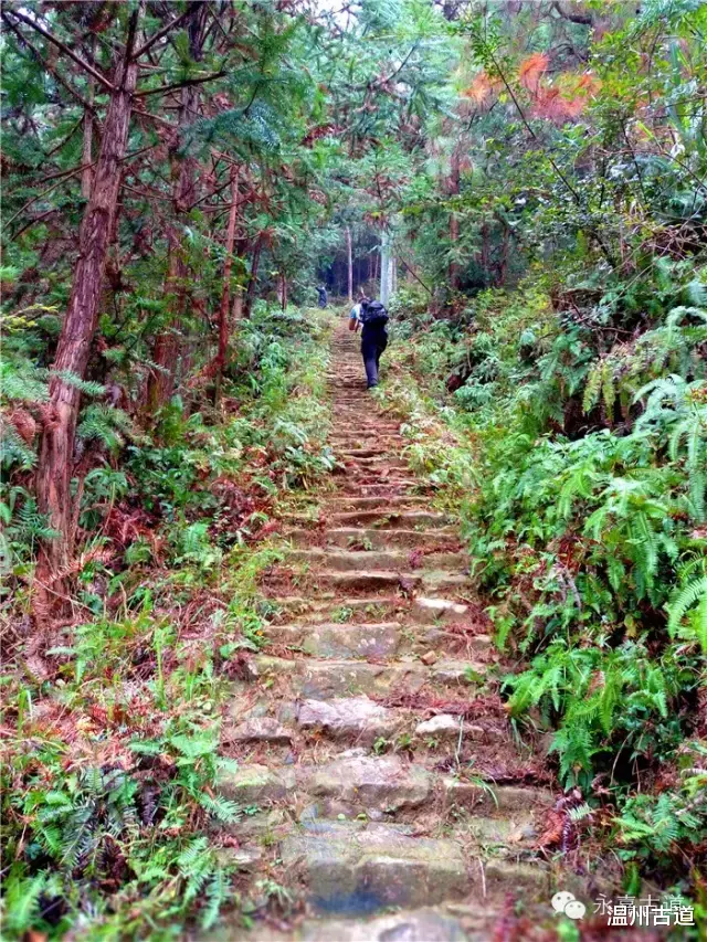 温州@温州铁坑古道，一条横亘于永嘉青田深峡的水瀑古道