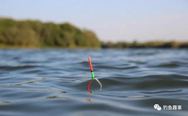 ：夏季自然水域作钓，水底有草这样做