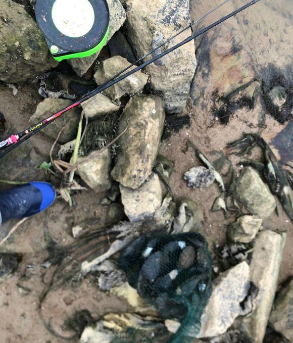 湘潭|湘潭男子河道钓鱼，却捞起一袋“大石头”，网友：这能吃？