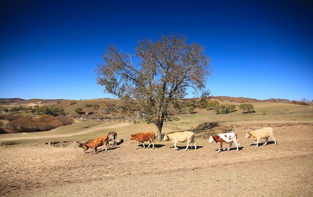 星座女|韬光养晦,收敛锋芒的三大星座。既深沉,又多情,却令人刮目相看