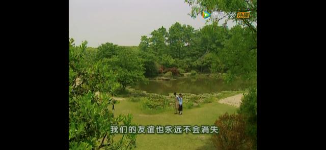 依萍|重温《情深深雨濛濛》:20年后才明白,如萍这种女孩有多可怕