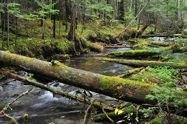 新疆维吾尔自治区|古代中国为什么要控制满是沙漠的新疆,而不征服雨水充沛的东南亚