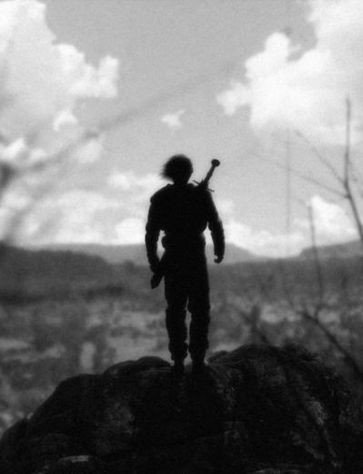 贝吉塔■《龙珠》中大特和其父贝吉塔两者有何不同?