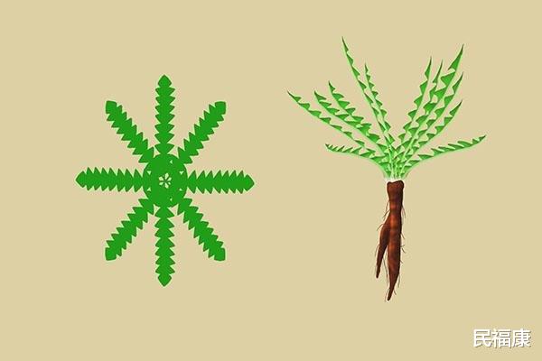 肝脏|肝硬化早期，身体会发生哪些变化？怎么做，能让肝脏软回去？