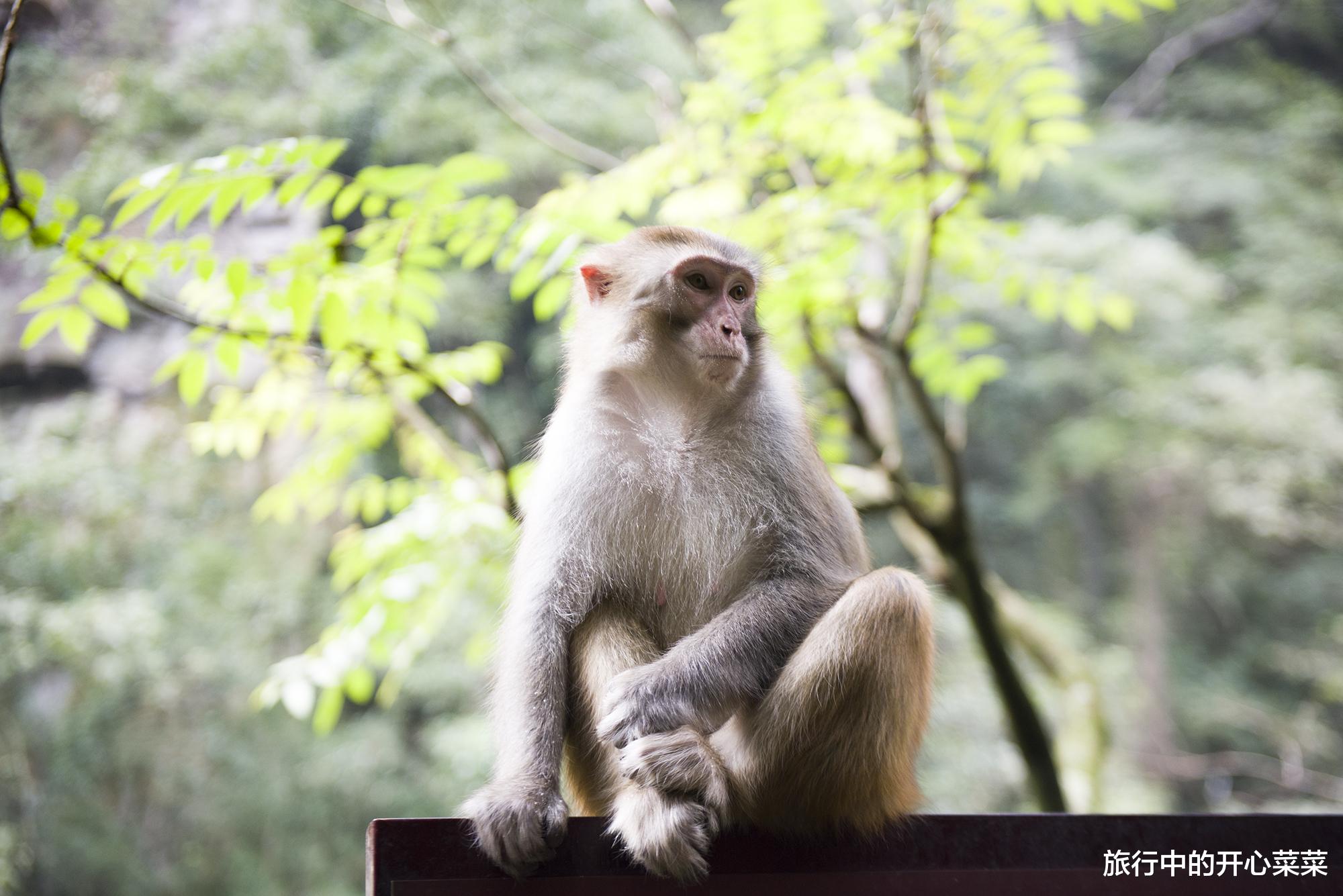 张家界|中国被游客误解最深的景区，以为遍地是坑，其实让人感觉很温暖