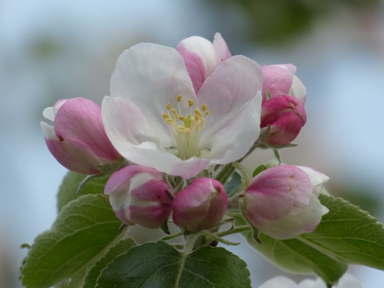 生肖|8月,事业如火如荼、财源滚滚的4生肖,好运不断!