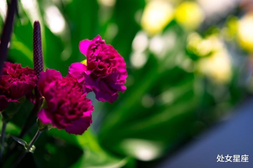 [运势]抬头见财，6月22号，财运畅通，运势节节攀升的3生肖，有望大赚