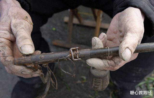 大学|这4所985高校分数线暴涨,明年或许会更高,考生要谨慎填报
