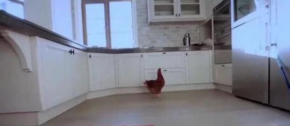 大门|董洁晒出自己家豪宅，如今搬回跟父母一起住，厨房里还养着走地鸡