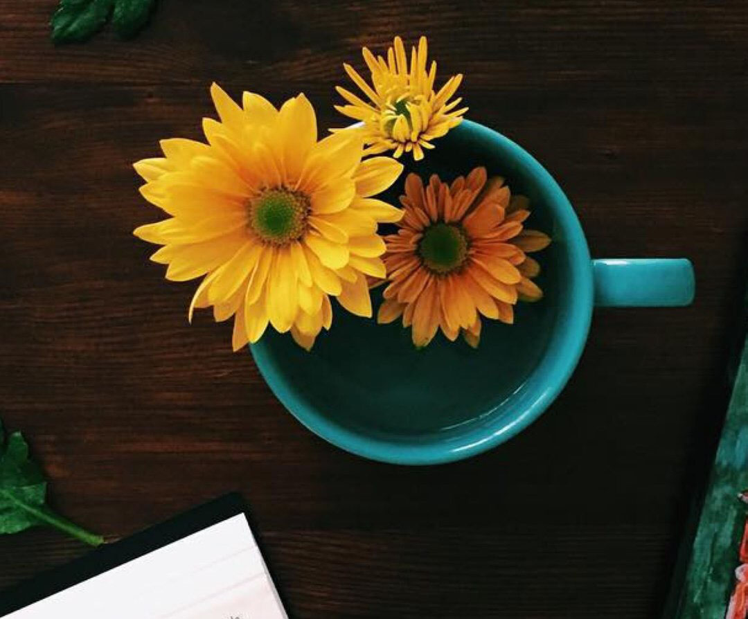 狮子座：六月中旬，积极努力，特别的上进，三星座真爱驾到，挥散阴霾