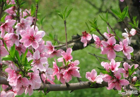 运势■6月22号，运势上吉，财运上上签的生肖，紫气东来，赚得腰包鼓鼓