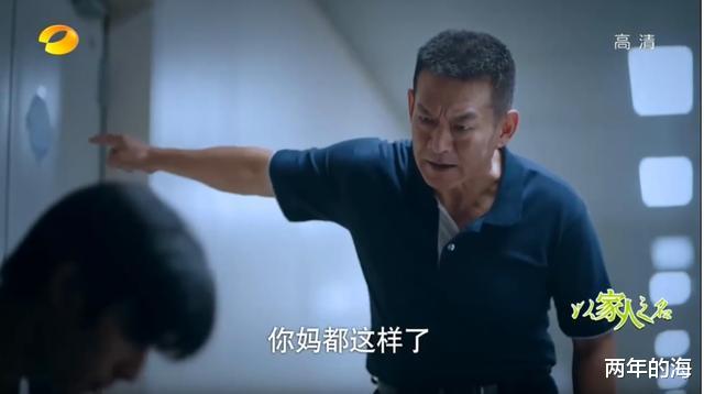 陈婷|《以家人之名》凌霄和尖尖结婚，贺梅嫁给李海潮，感悟家在血缘前