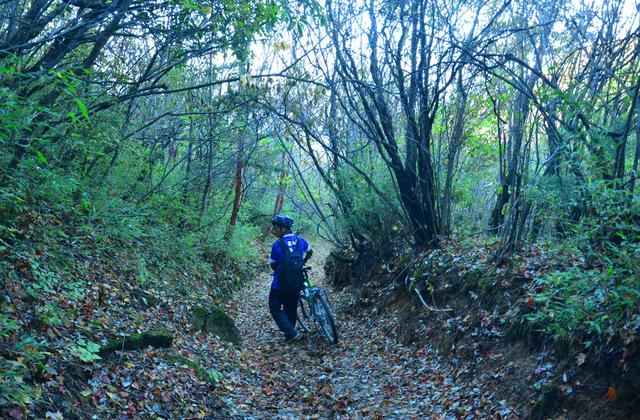 #秦岭#普通爱好者徒步秦岭终南山主峰，这是最轻松的一条路线