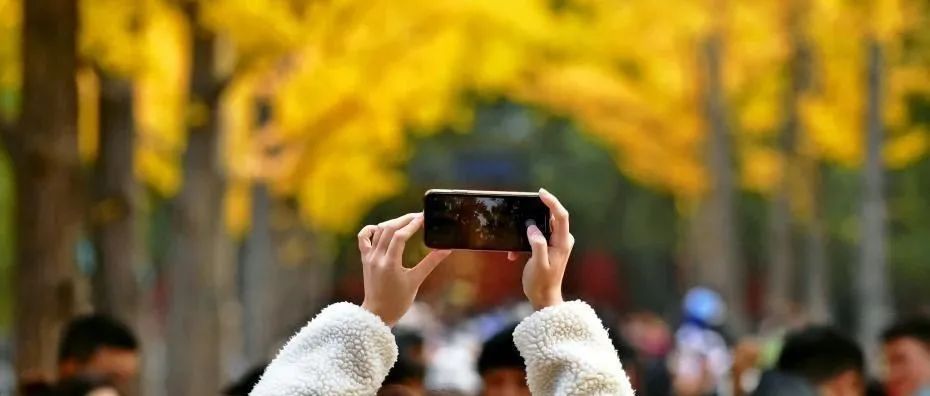 中国新闻网|警惕！河南一感染者复阳！解除隔离后曾参加婚礼…