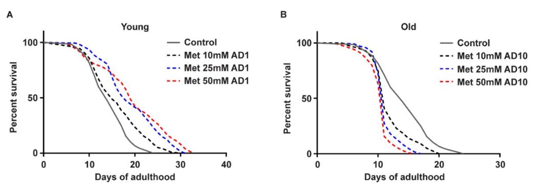 二甲双胍|\增寿药\还是\折寿药\？哈佛教授发现二甲双胍或使老年人折寿