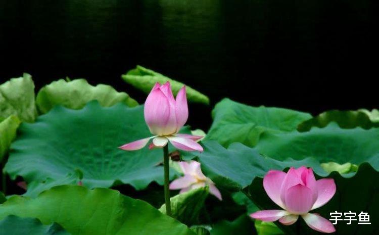 生肖|9月开始贵人辅佐,好事不断,赚钱如流水,如沐春风的四大生肖