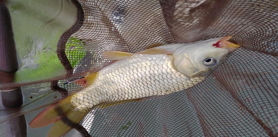 |朋友对家人说，我不钓鱼了！得到的回复，戳中泪点