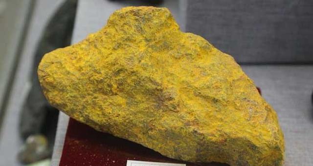 []蛇最怕什么药？为什么？