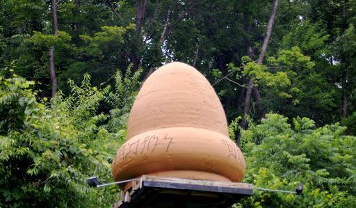 UFO|外星人在地球乱扔垃圾？网友拍到森林中不明物体，引发UFO猜想