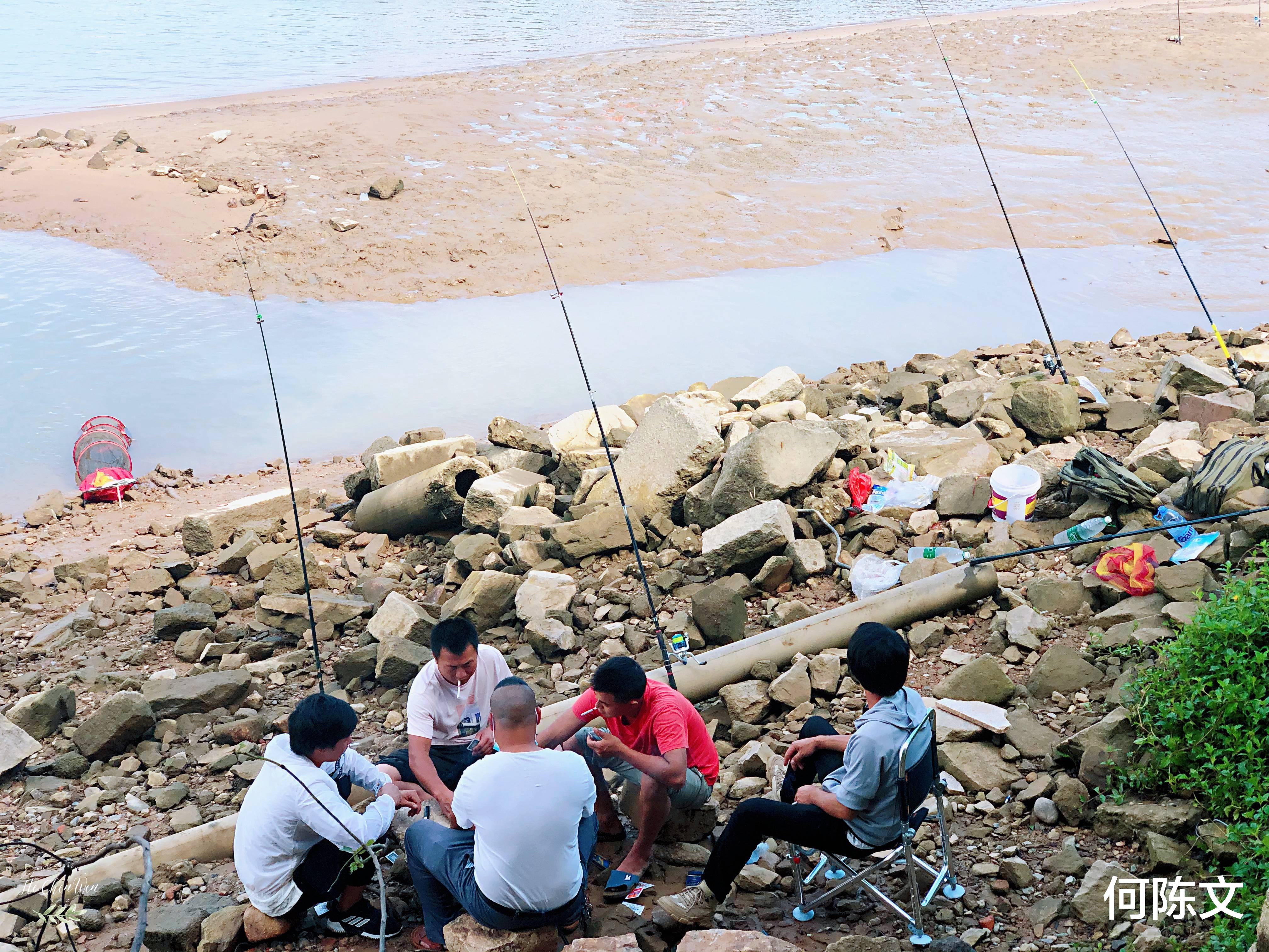 「闽江」闽江畔的这个地方,钓友都喜欢来钓鱼,而且每次都是收获满满