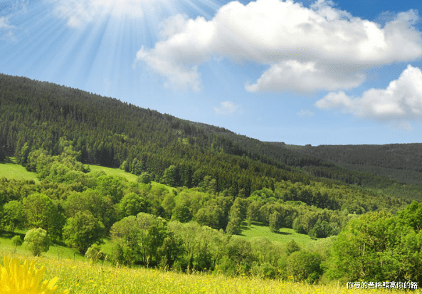 桃花朵朵开|8月份开始，4属相吉星照耀，财源滚滚来，桃花朵朵开，好运连连