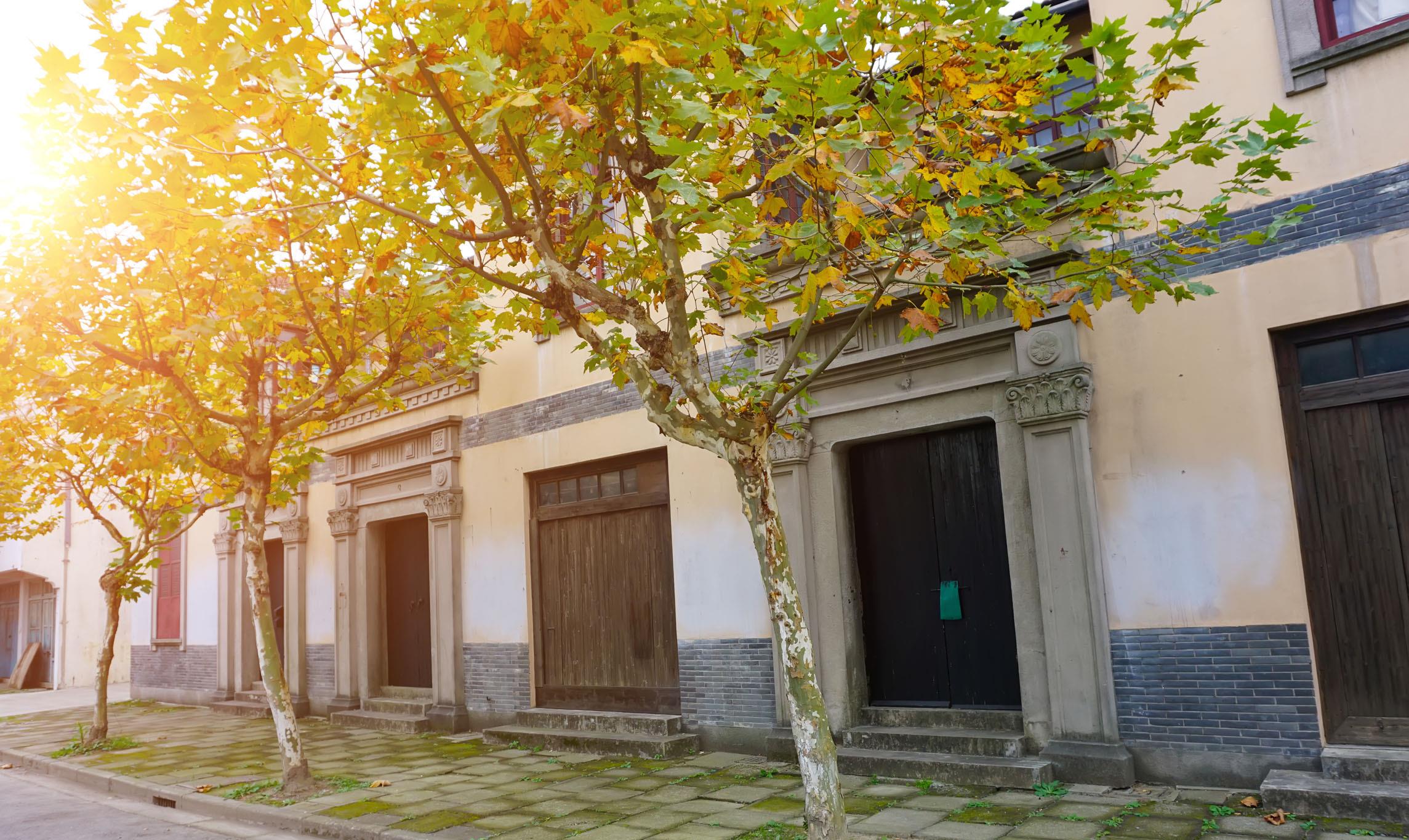 杭州|中国最干净的三座城市：整个北方就一座，南方两座，有你家乡吗？