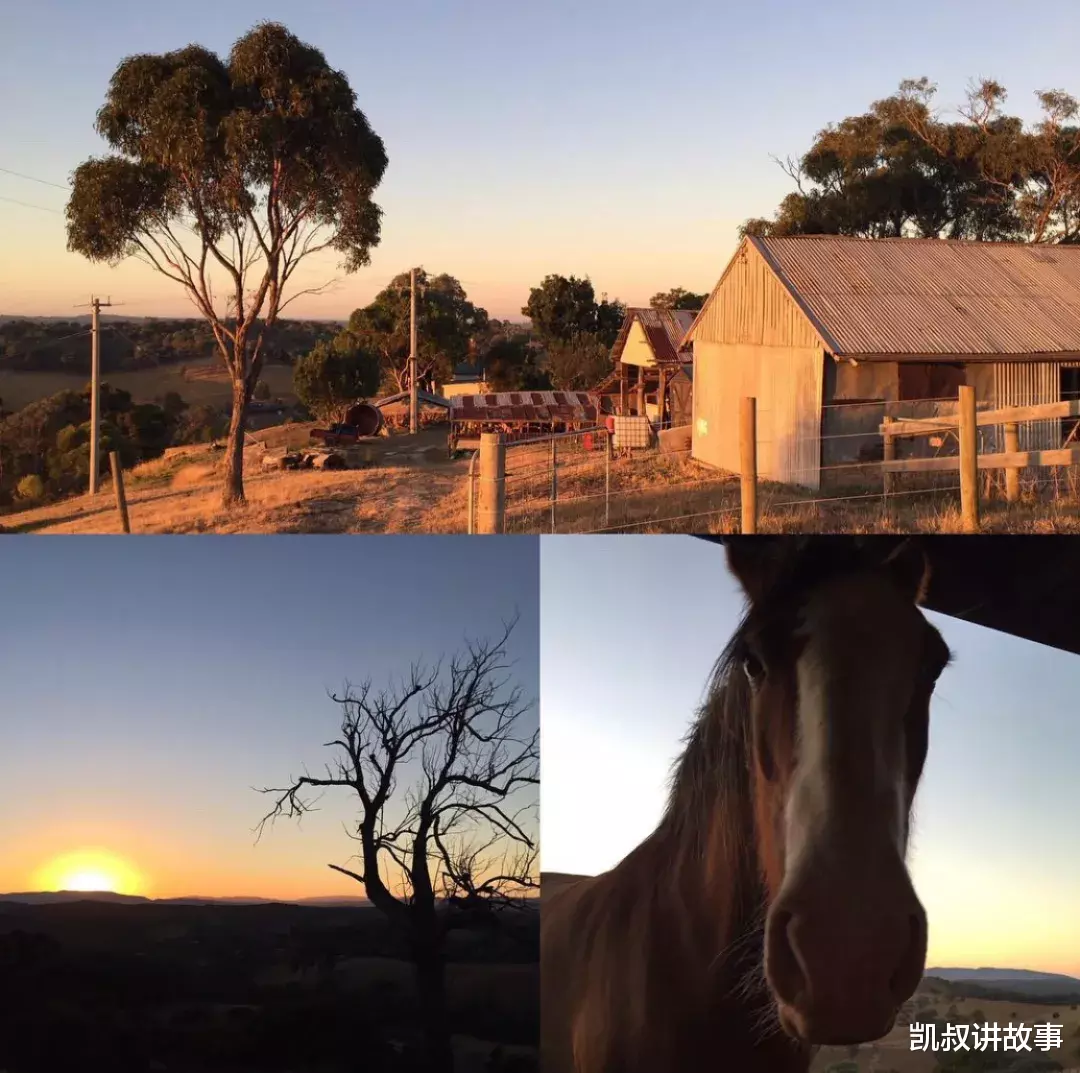 结婚|55岁不结婚，晒房间引100万人点赞：生活好不好，看卧室就知道