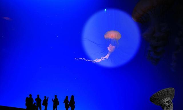 天蝎座|7月中旬，桃花芬芳，旧爱呼唤，3星座牵手旧爱，真情再度延续