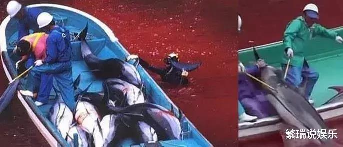 『大象』让人类羞耻的30张图