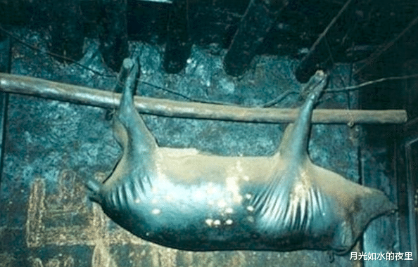 『猪肉』一头猪在梁上挂了30年，都臭了，却有人花60万争着买来吃！