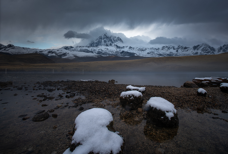 生肖|11月，佳偶天成，旧人重逢，爱情得以延续，幸福之花再次绽开