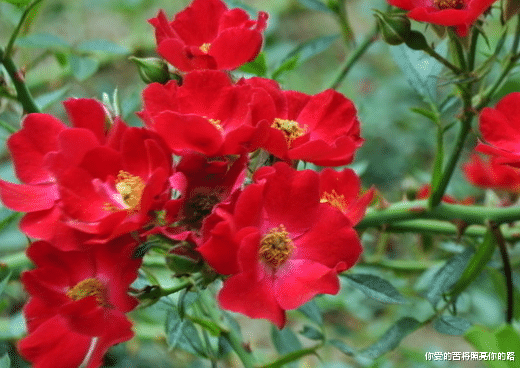 吉星▲6月16日开始，4属相好事进门，顺风顺水，财路大开，越过越有钱