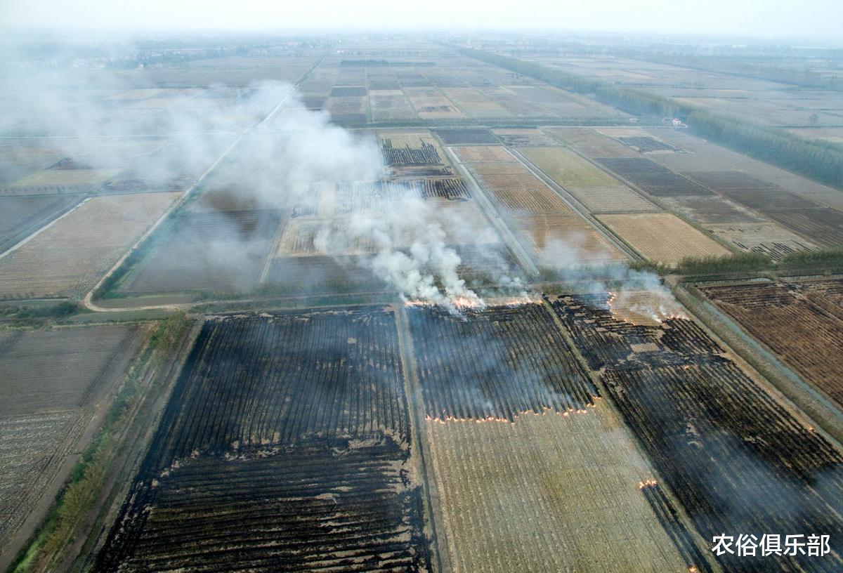 农俗俱乐部|除秸秆不让焚烧，这3件农民以前爱干的事也被禁止，真有必要禁？