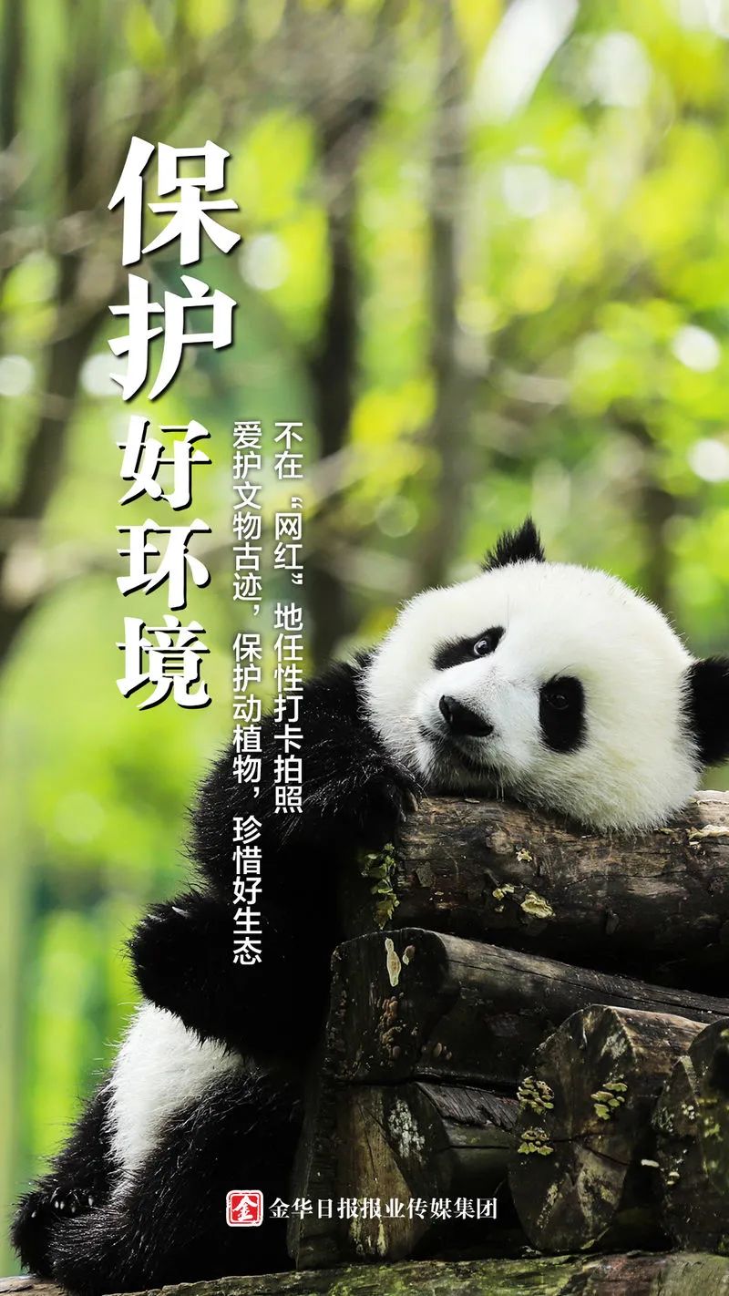 金华发布|金华周边哪里玩？别再问朋友圈了，点进来找答案！这些提醒请注意→