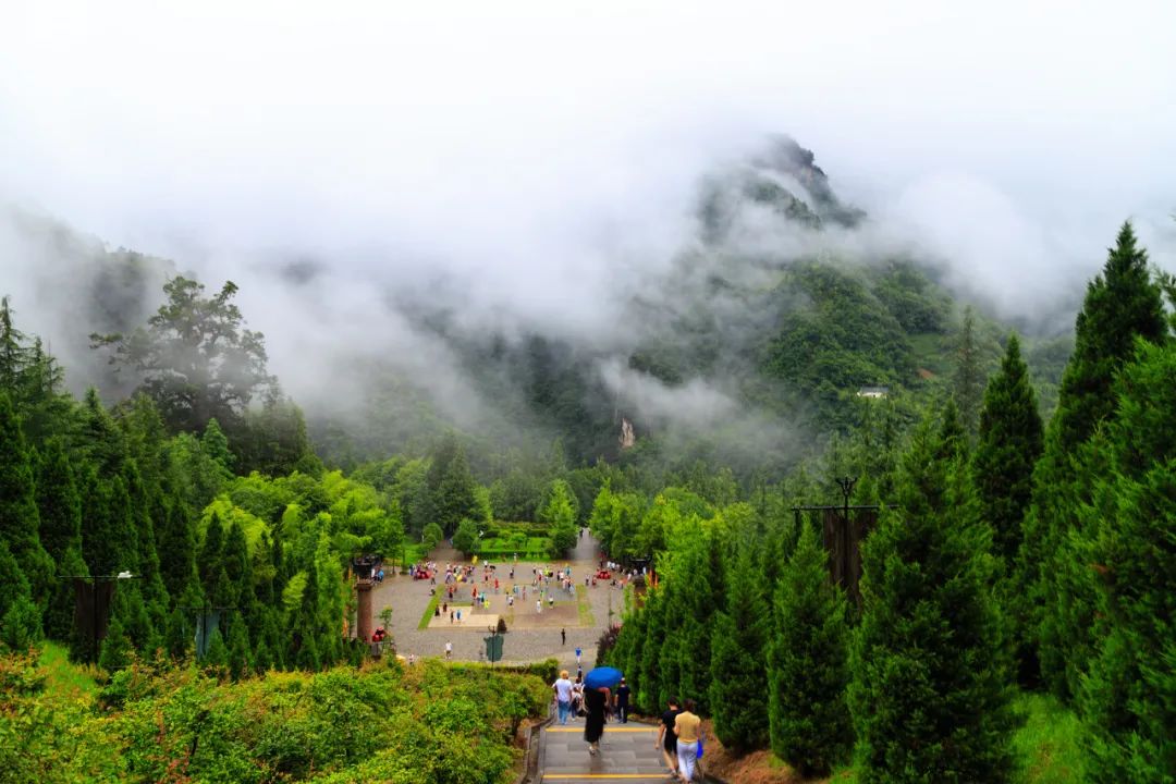 拙政园|重磅！全国500+景区免门票！（附详细名单）