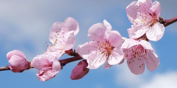 运势|10月起天公作美赐姻缘，喜迎真爱，幸福一生的生肖