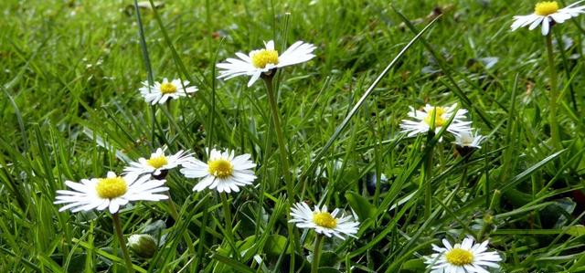 摩羯座|10月好运缠身，4大星座意外之财说来就来！前程似锦