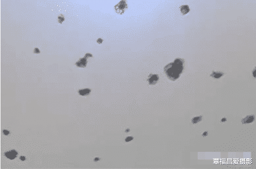 一女子新房还没住够三年，房顶厚度就增加了一倍，物业：服还是不服