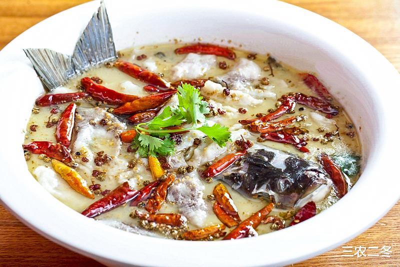 鲶鱼炖茄子|被人“冤枉”最深的1种鱼，比鲫鱼营养，8元无人买，可惜了