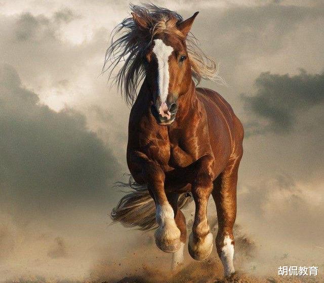 [赤兔之死]19年过去，你还记得高考神作《赤兔之死》吗，它的作者现状如何？