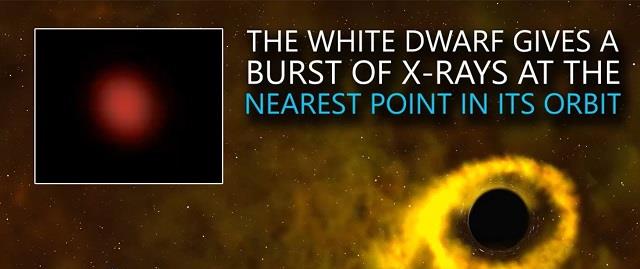 「恒星」生存奇迹!发现一颗恒星,竟在黑洞中幸存下来,付出了什么代价?