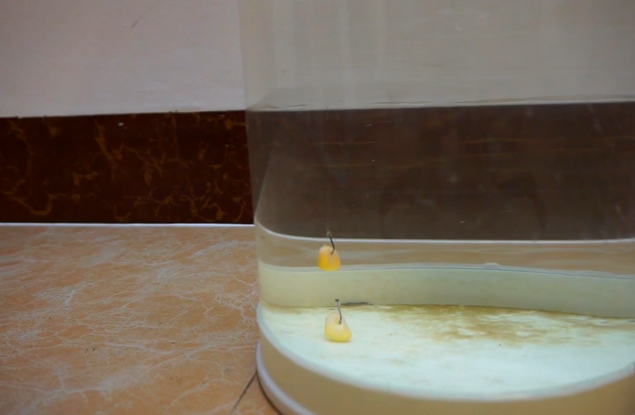 @调漂桶和实际钓鱼有何不同？不明白这些，精通调漂也白搭