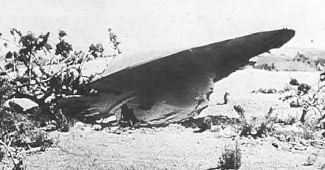 外星人■就在我们身边的5个外星种族，可能每天都和你联系