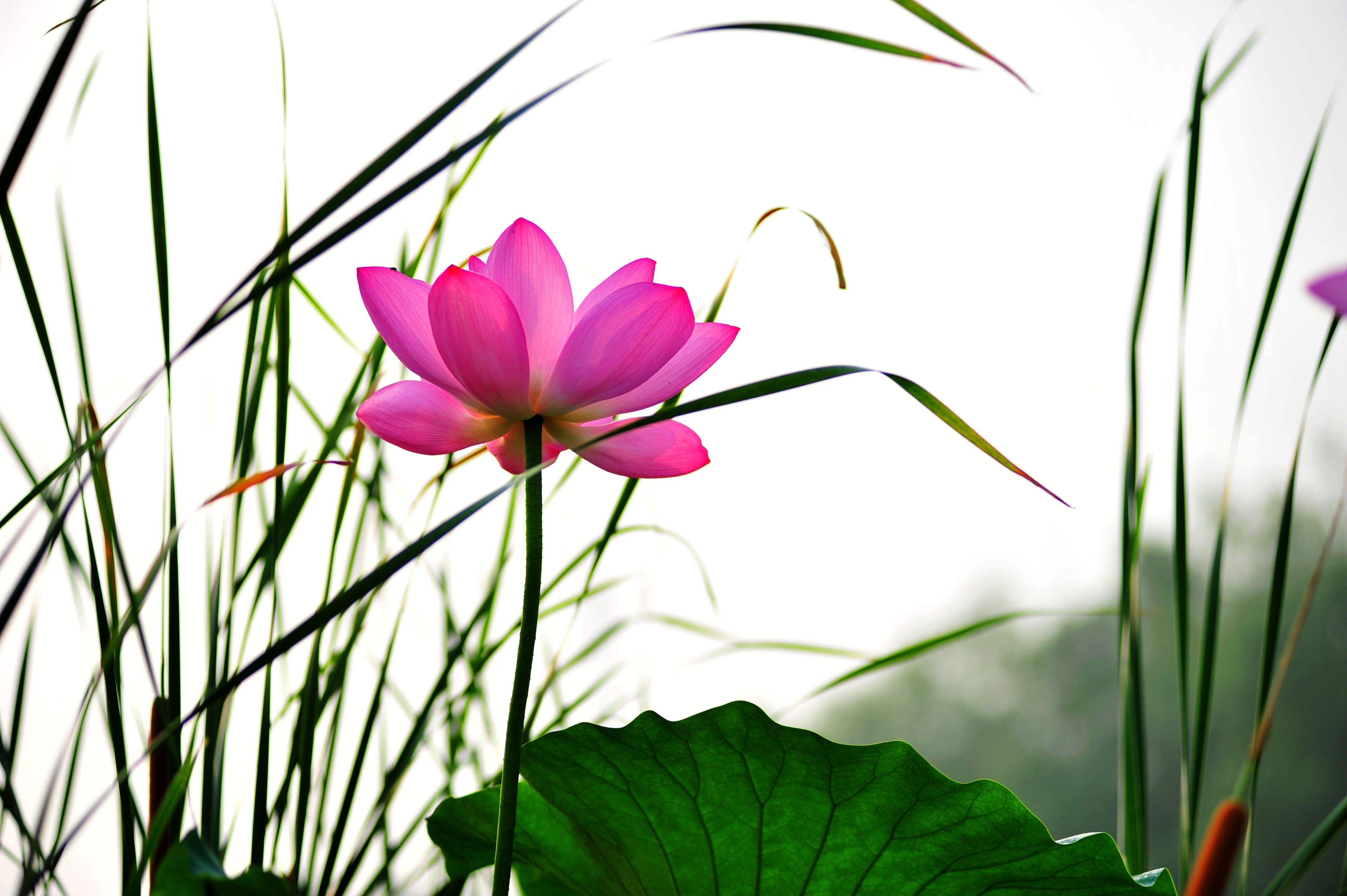 天蝎座|我的天爷爷！属羊人：报应来了？会被谁活活喜到！